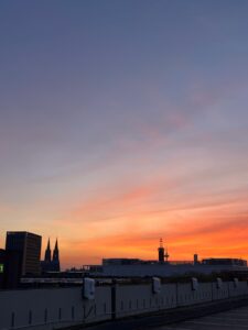 WhatsApp Image 2026-01-27 at 18.01.05