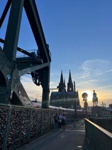 WhatsApp Image 2026-01-27 at 18.01.06 (4)